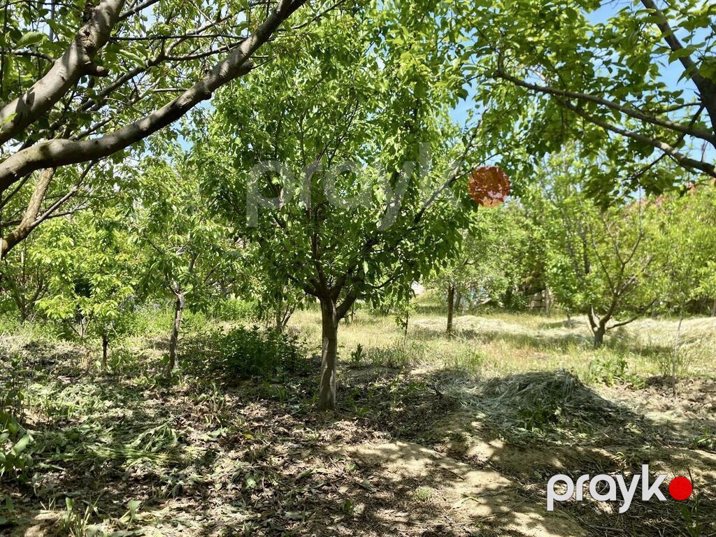 6 sot, Tikinti, Kupça (Çıxarış) — Torpaq, Digah (3)