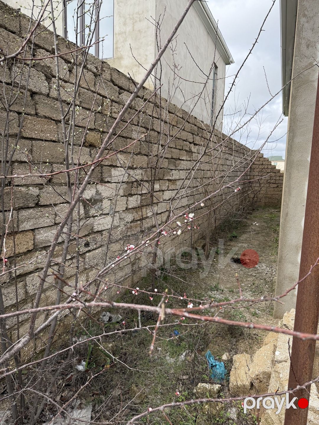 Satılır 5 otaqlı həyət evi/bağ evi 150 m² — Ev, villa, Bakı (7)
