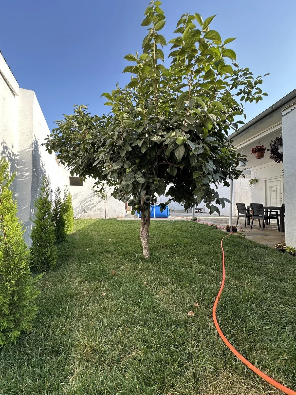 3 otaqlı bağ evi satılır Şüvəlan qəsəbəsində — Ev, villa, Bakı (4)
