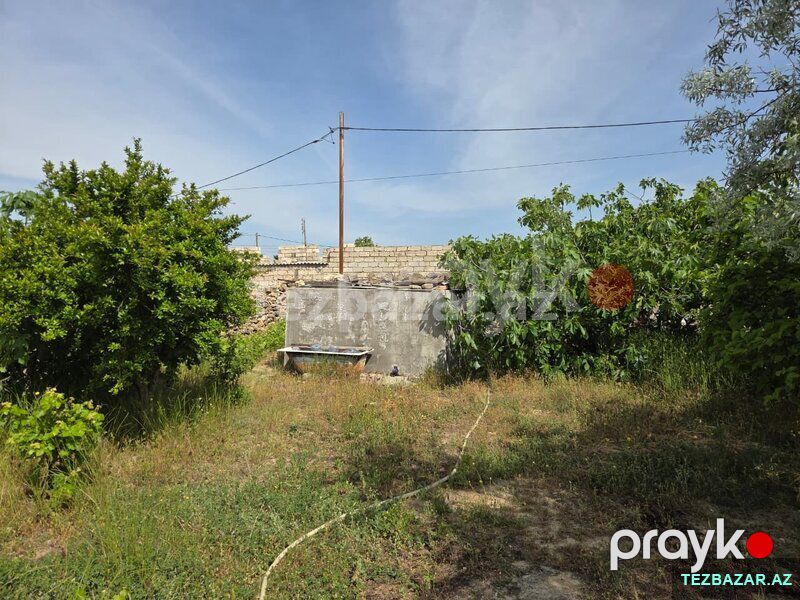 visnovkada 6 sot torpaq — Torpaq, Bakı (5)