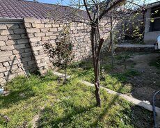 Torpaq Satılır Sabunçu r., Nardaran q., 5 sot — Torpaq, Bakı (7)