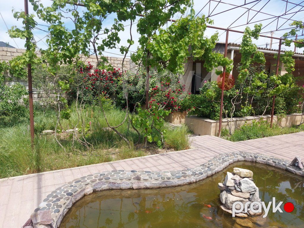 Bağ evi kirayə verilir, Mərdəkan qəs — Ev, villa, Bakı (12)
