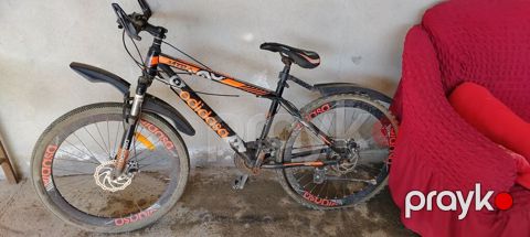 Dağ velosipedi – Odidosa markalı - Çərçivə: yüngülmetall, hardtail — Quba