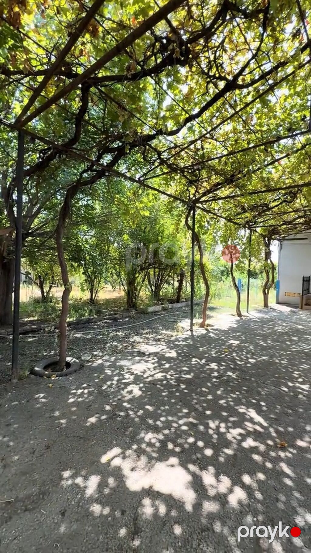 Bərdə rayonu güloğlularda ev satılır Təzə bazardan 500 metir — Ev, villa, Bərdə (2)