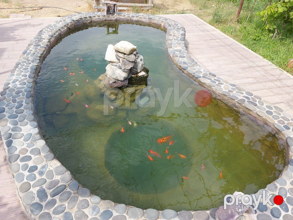 Bağ evi kirayə verilir, Mərdəkan qəs — Ev, villa, Bakı (8)