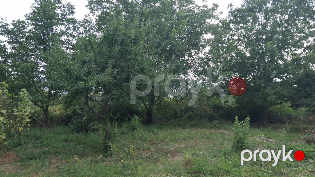 Torpaq sahəsi 20 sotdur.İsmayıllı rayonu Diyallı kəndi ərazisində — Torpaq, İsmayıllı (5)