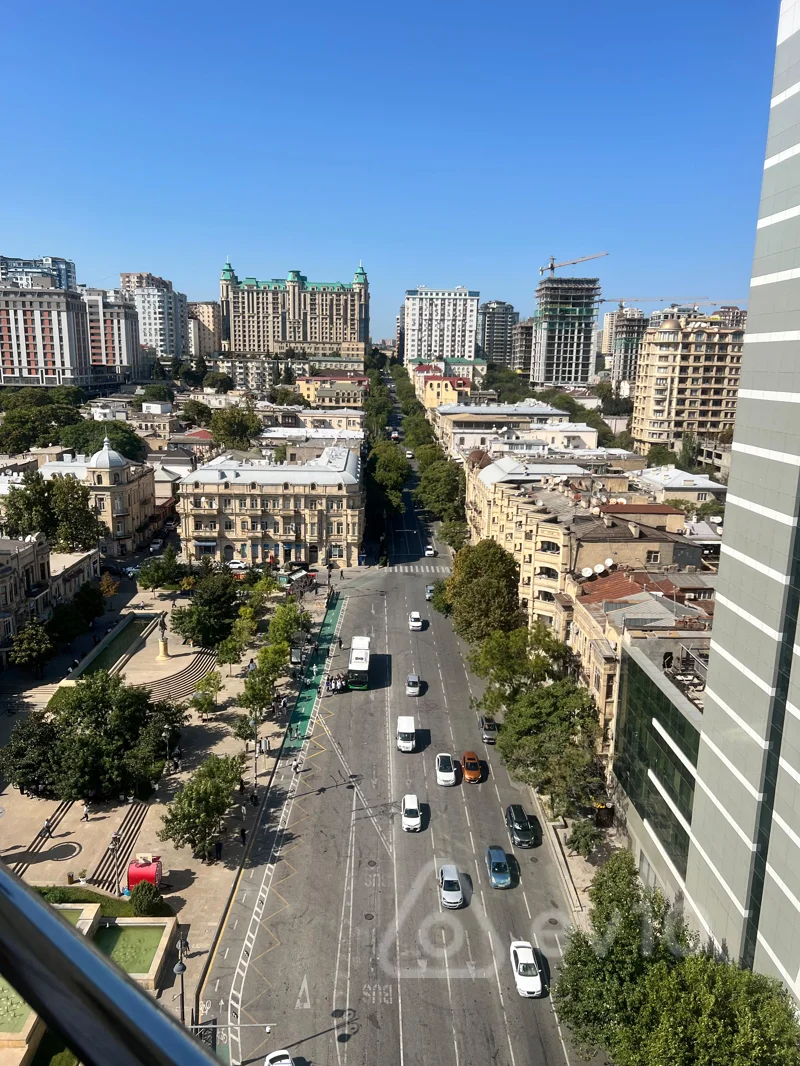 2 otaqlı mənzil, 103 m², Salatın Əsgərova — kirayə — Mənzil, Bakı (9)