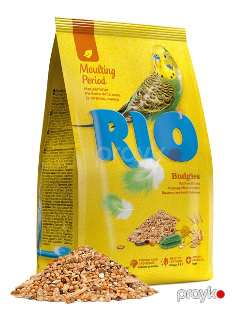 Kökləmə dövründə quşlar üçün Rio yemi — Bakı