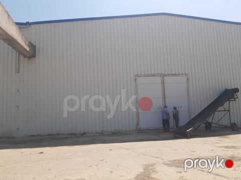 İcarəyə verilir obyekt 213 m² — Bakı