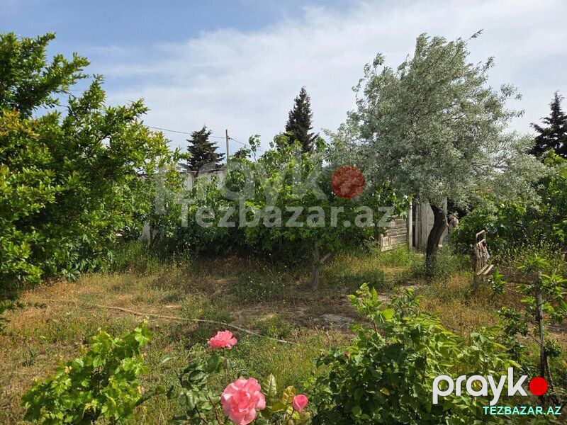 visnovkada 6 sot torpaq — Torpaq, Bakı (3)
