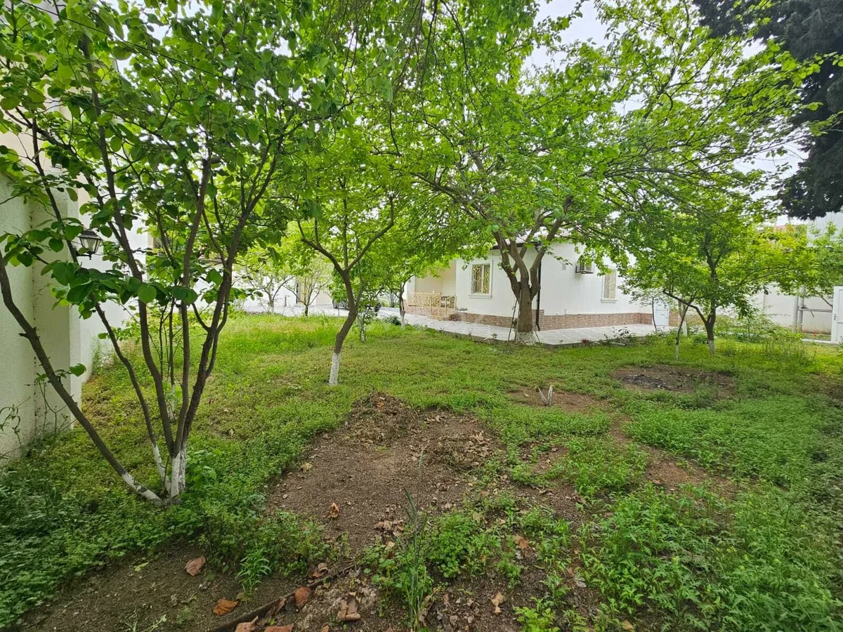 3 otaqlı bağ evi satılır Bilgəh qəsəbəsində — Ev, villa, Bakı (11)