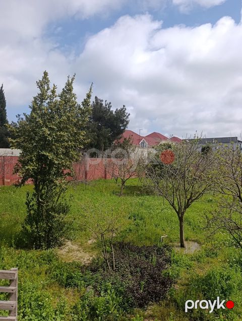 Satılır torpaq 12 sot — Bakı