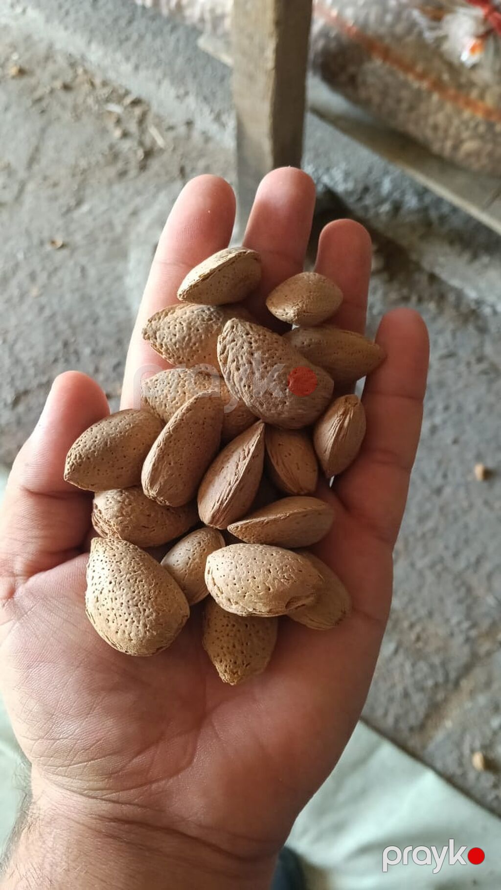 Məhsul: Qabıqlı badam Təsvir: - Təbii qabığında, tam dənələr - Bütöv — Qida məhsulları, Goranboy (3)