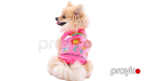 Kofta Pawstar Be Kind Neon Pink, çəhrayı, ölçü XL — Bakı