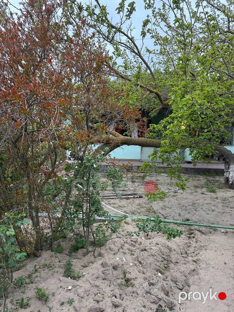 Satılır torpaq 4 sot — Torpaq, Bakı (2)