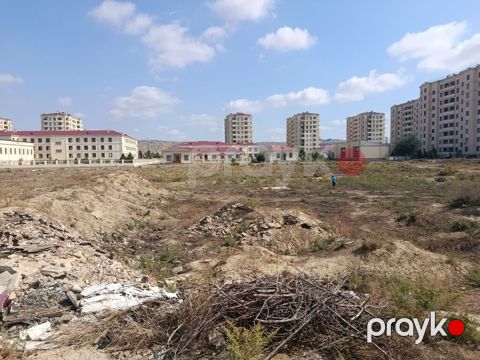 Tikinti — Şirvan