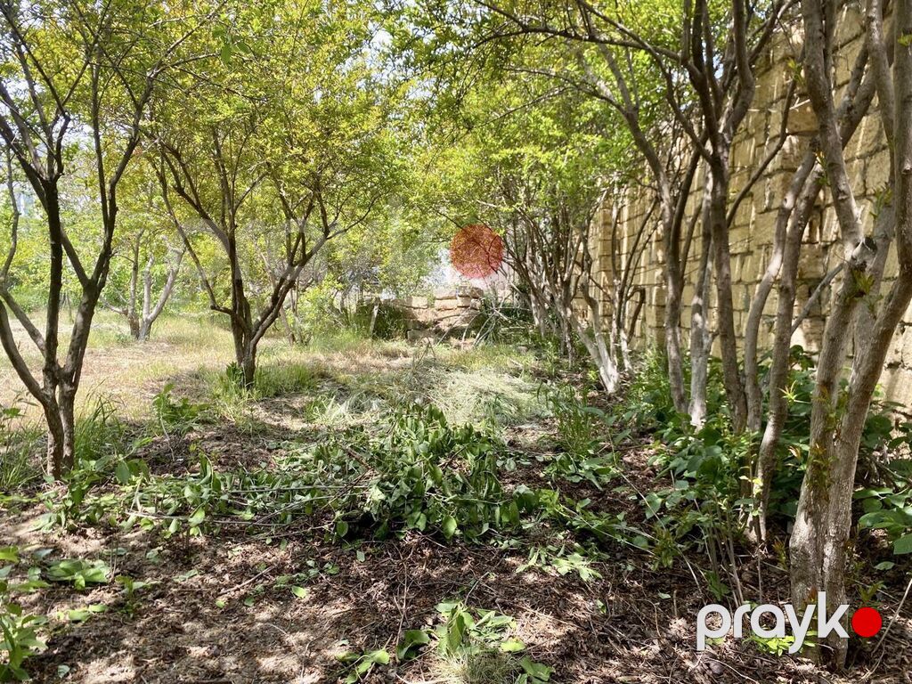6 sot, Tikinti, Kupça (Çıxarış) — Torpaq, Digah (6)