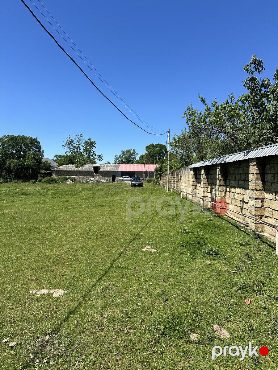 Satılır torpaq 6 sot — Torpaq, Qəbələ (4)