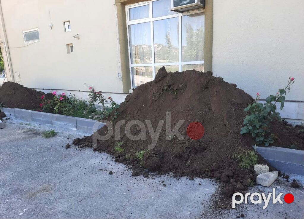 Qara Torpaq Və Peyin Torpaq Satışı: Kənd təsərrüfatı, bağçılıq və ya — Turba və gübrə, İsmayıllı (3)