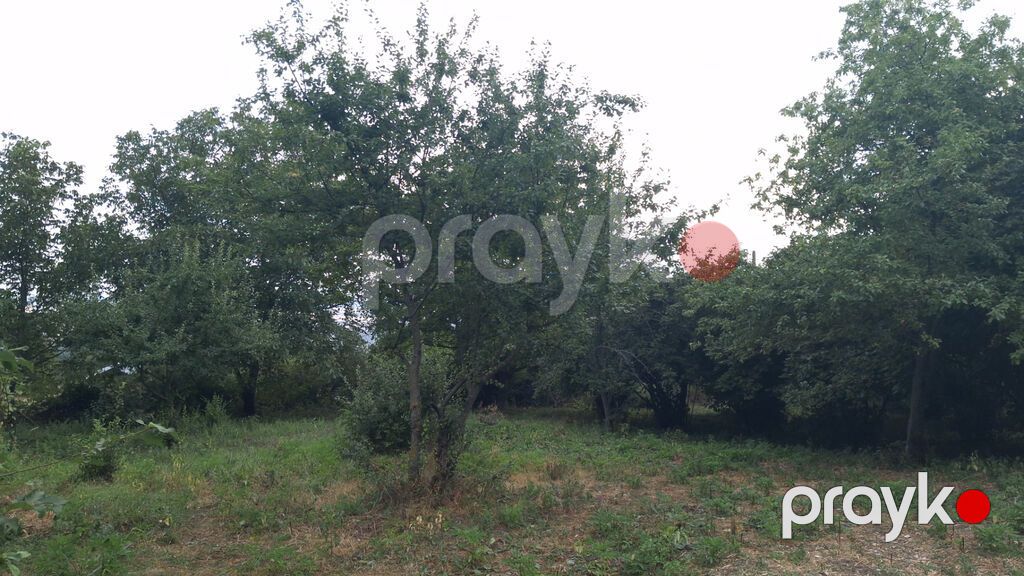 Torpaq sahəsi 20 sotdur.İsmayıllı rayonu Diyallı kəndi ərazisində — Torpaq, İsmayıllı (3)