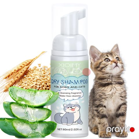 Quru şampun itlər və pişiklər üçün, 60 ml — Bakı