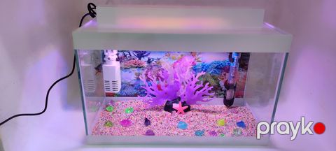 Akvarium dəsti Aquazoo, 20 l, şəffaf — Bakı