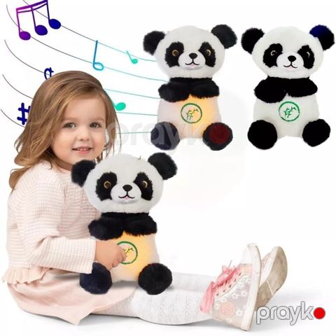 Nəfəs alan panda — Bakı