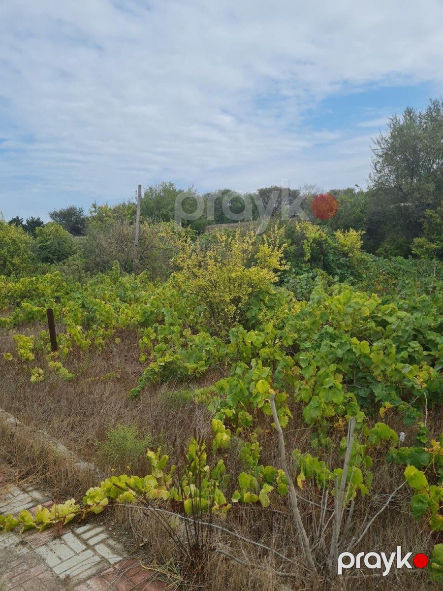 28 sot torpaq sahəsi, Pirşağı qəs — Torpaq, Bakı (3)