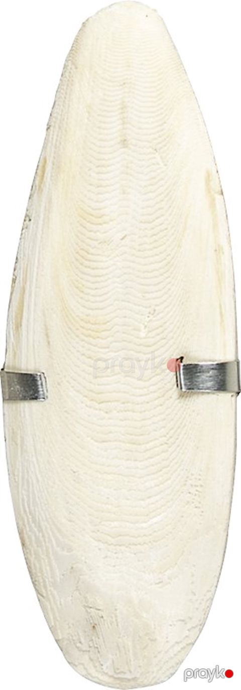 Mürəkkəbböcəyi sümüyü Zoomir Cuttlefish Bone quşlar üçün — Bakı