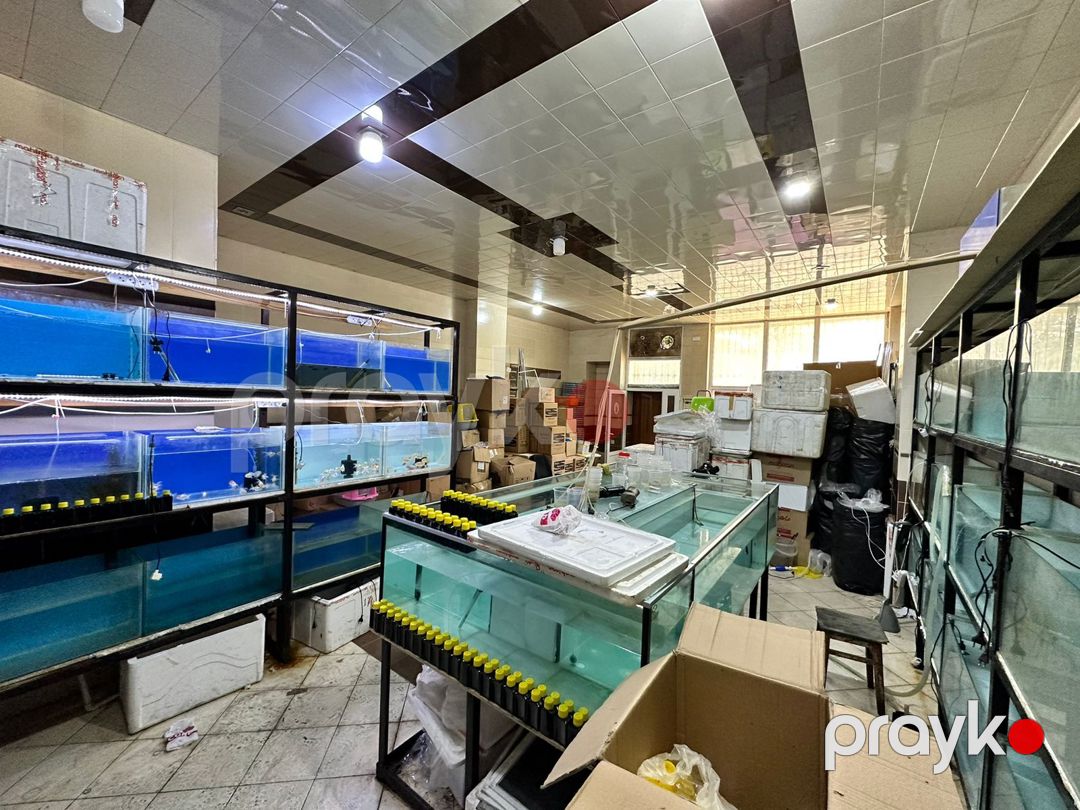 Satılır obyekt 65 m² — Əmlak, Bakı (2)