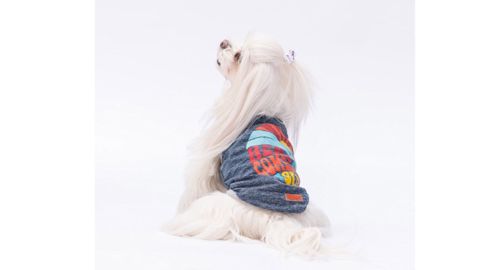 İtlər və pişiklər üçün mayka Pawstar The Sun Navy Blue, göy, ölçü L — Bakı