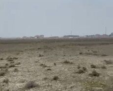 Torpaq Satılır Sabunçu r., Nardaran q., 31 sot — Torpaq, Bakı (8)