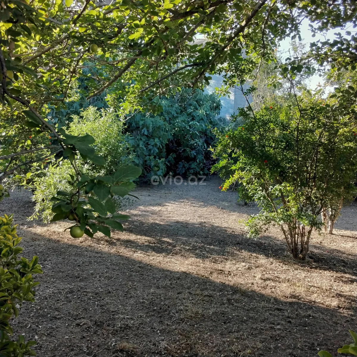Torpaq sahəsi satılır Novxanıda — Torpaq, Abşeron (2)