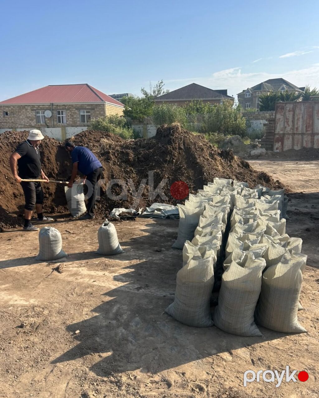 Qara Torpaq Və Peyin Torpaq Satışı: Kənd təsərrüfatı, bağçılıq və ya — Turba və gübrə, İsmayıllı (5)