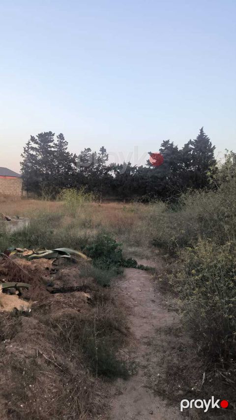 Satılır torpaq 4 sot — Bakı