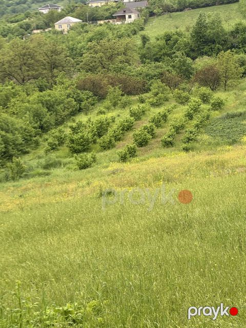 80 sot, Kənd təsərrüfatı, Mülkiyyətçi, Kupça (Çıxarış), Bələdiyyə — Quba