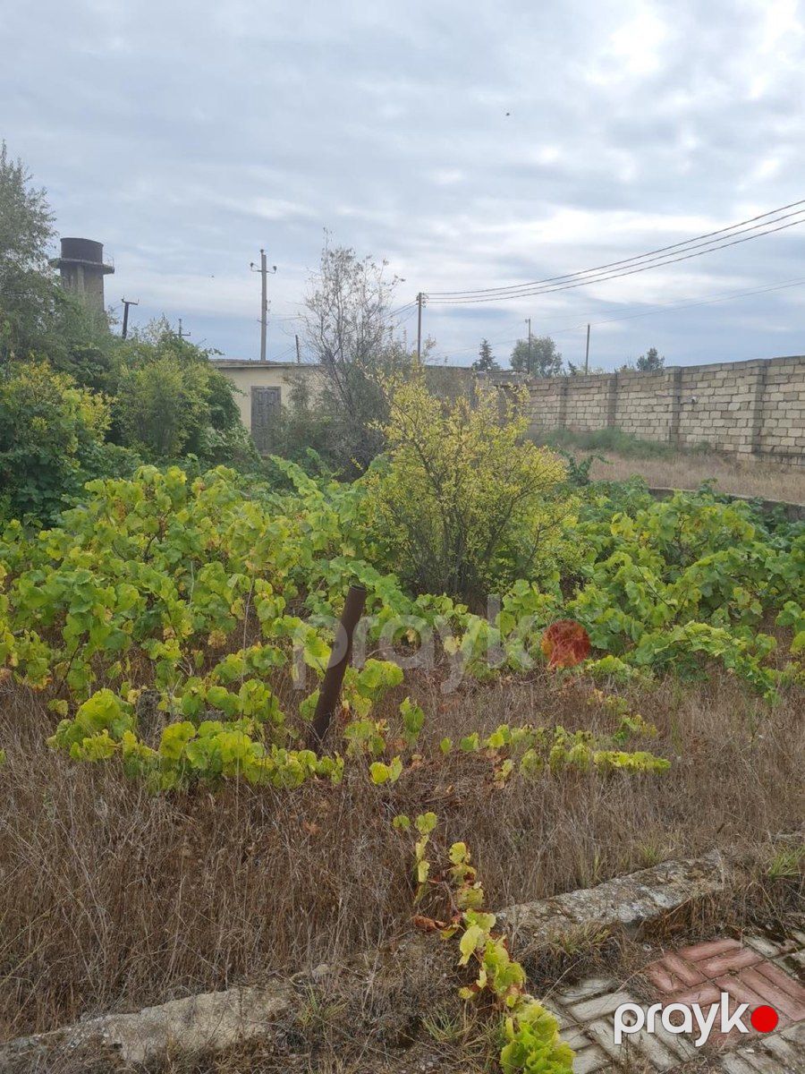 28 sot torpaq sahəsi, Pirşağı qəs — Torpaq, Bakı (7)