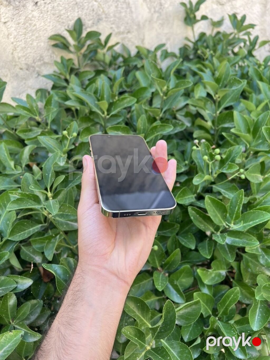 IPhone 13 Pro, Ağ, Face ID — Apple iPhone, Masallı (4)