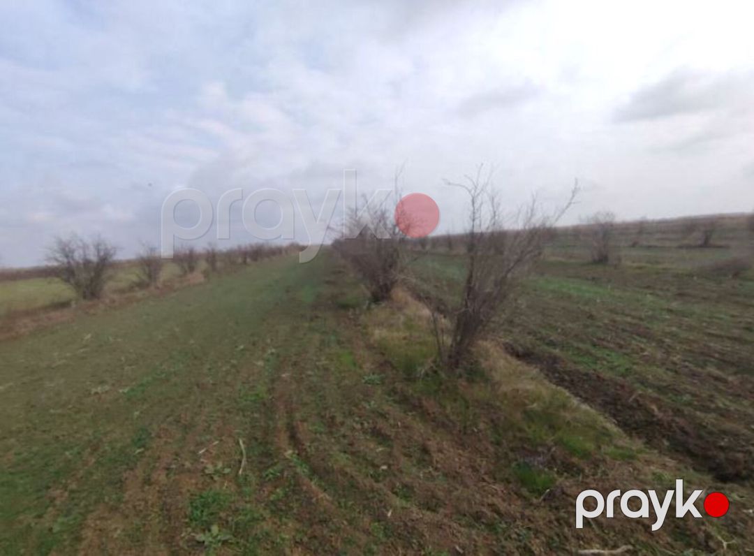 Satılır torpaq 4630.1 sot — Torpaq, Biləsuvar (2)