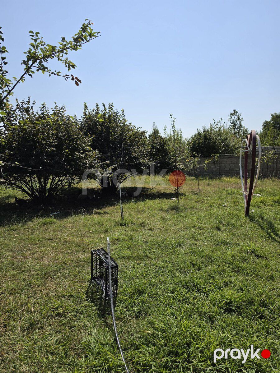 12 sot torpaq sahəsi, Vəndam qəs — Torpaq, Qəbələ (9)
