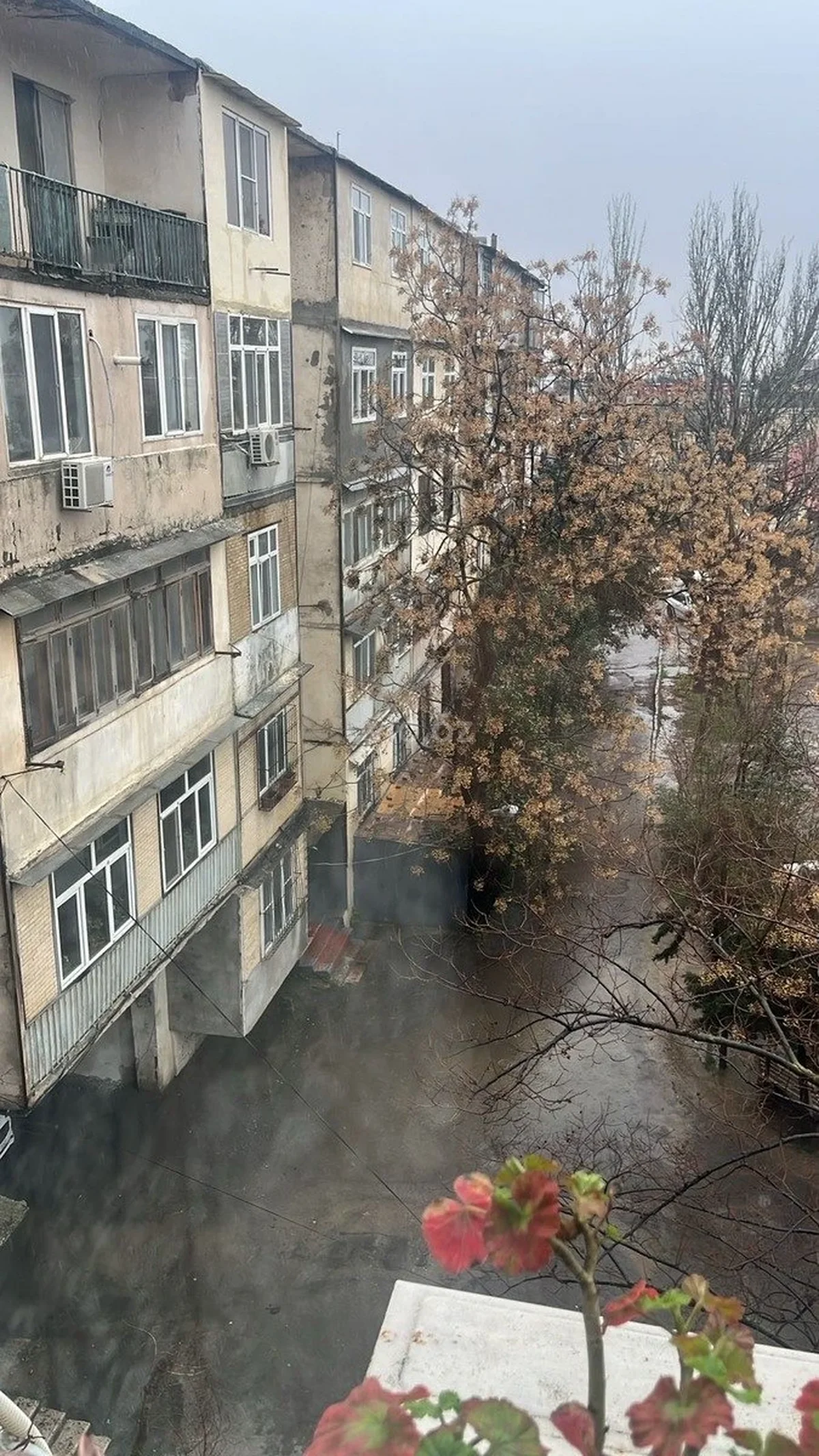 2 otaqlı tam təmirli mənzil satılır Bülbülə qəsəbəsində — Mənzil, Bakı (11)