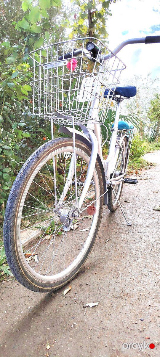 Velosiped — Velosipedlər, Bakı (6)