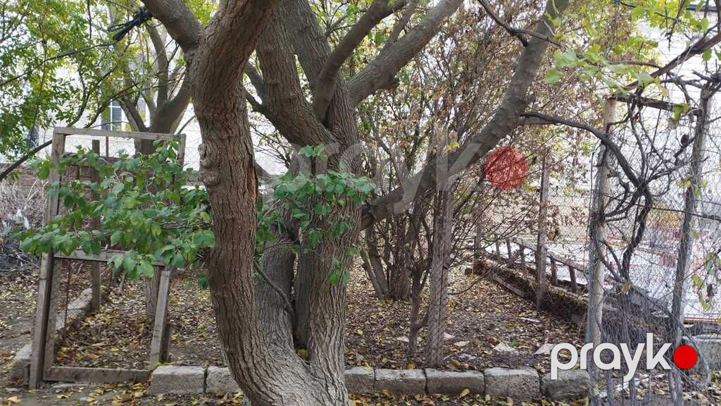 Satılır 5 otaqlı həyət evi/bağ evi 240 m² — Ev, villa, Bakı (3)