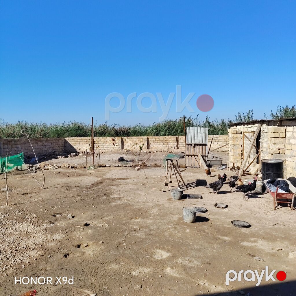 4 otaqlı, 100 kv. m, Kredit yoxdur, Yeni təmirli — Ev, villa, Saray (3)