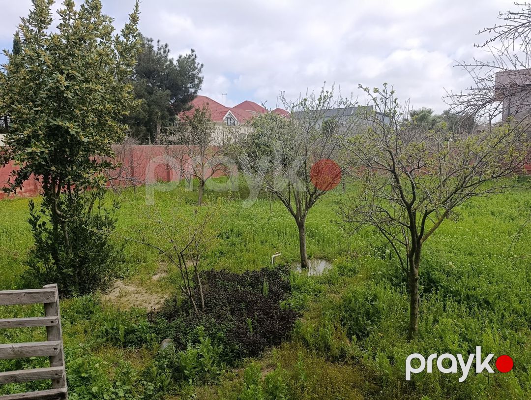 Satılır torpaq 12 sot — Torpaq, Bakı (2)