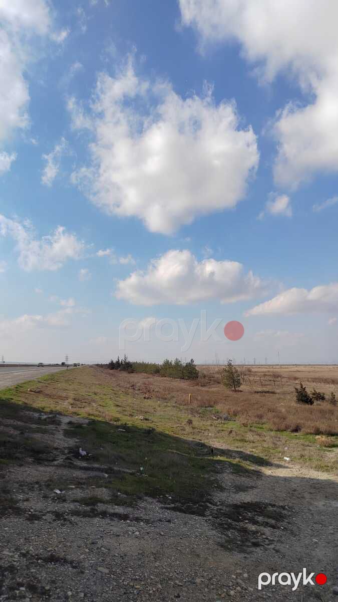 Satılır torpaq 510 sot — Torpaq, Bakı (5)