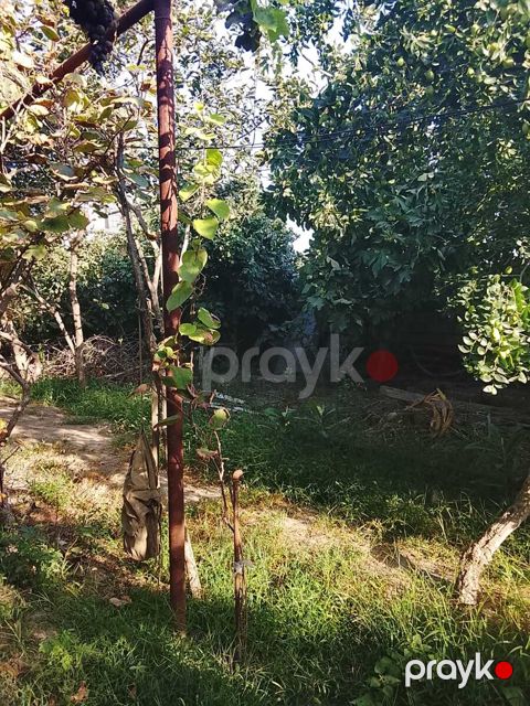 Həyət evi, Maştağa qəs — Bakı