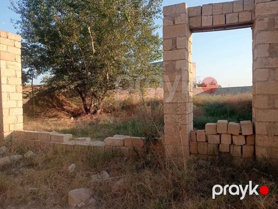 Satılır torpaq 12 sot — Torpaq, Bakı (6)
