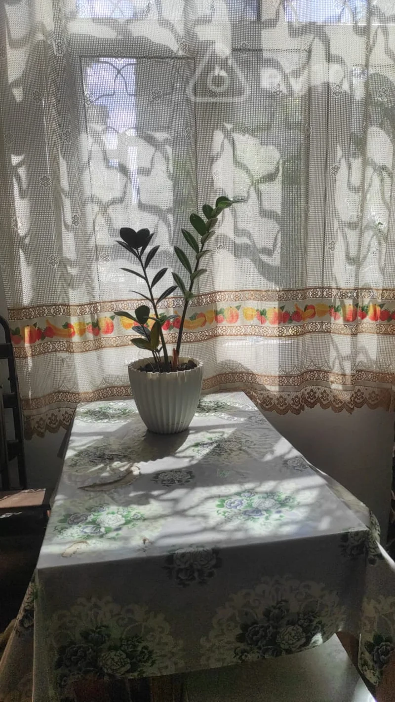 2 otaqlı mənzil, 45 m², Zahid Xəlilov küç. — kirayə — Mənzil, Bakı (8)