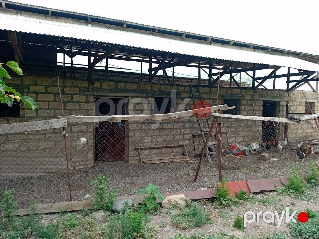 Həyət evi, Gəncə ş — Ev, villa, Gəncə (5)